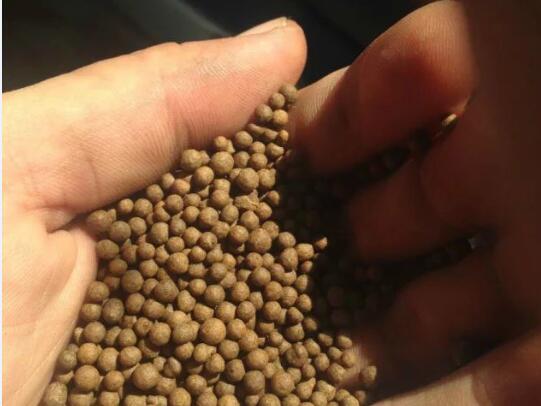 蘑菇渣玉米秸稈牛糞有機(jī)肥顆粒.jpg